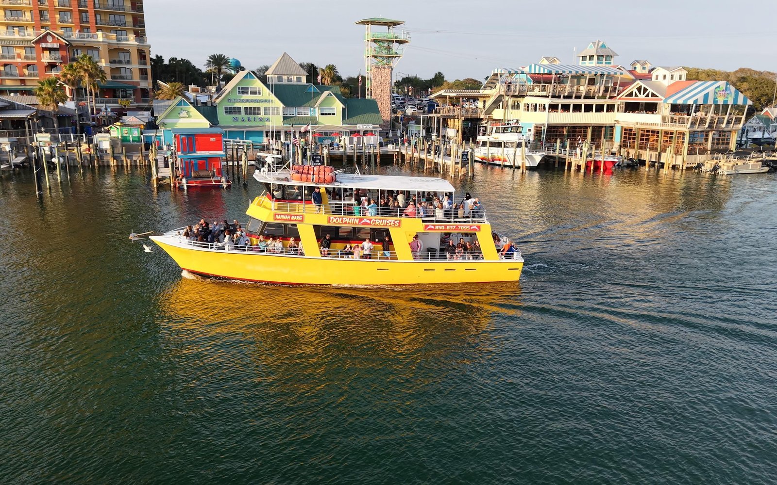 Destin: Dolphin Cruise Past Crab Island by Glass-Bottom Boat