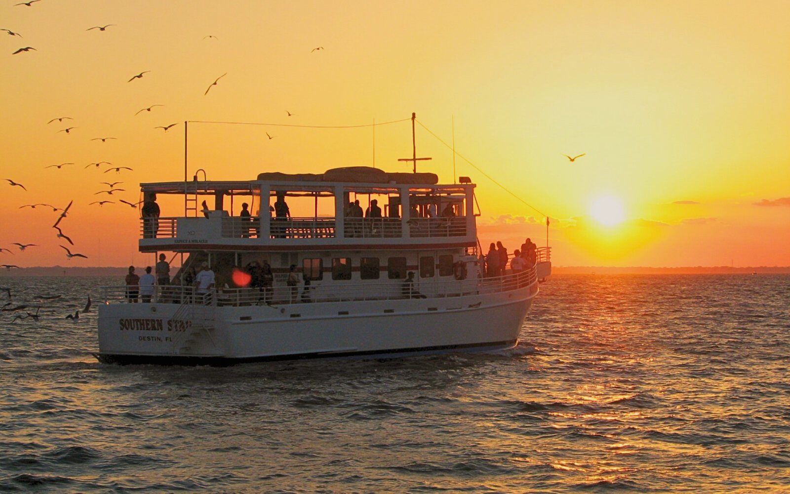 Destin: Glass-Bottom Sunset Dolphin Cruise on Southern Star